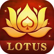 rummy yest download